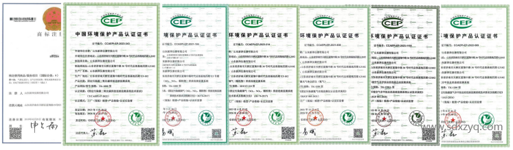 1711438280147189.png 新澤中國(guó)環(huán)境保護(hù)產(chǎn)業(yè)協(xié)會(huì)證書(shū).png